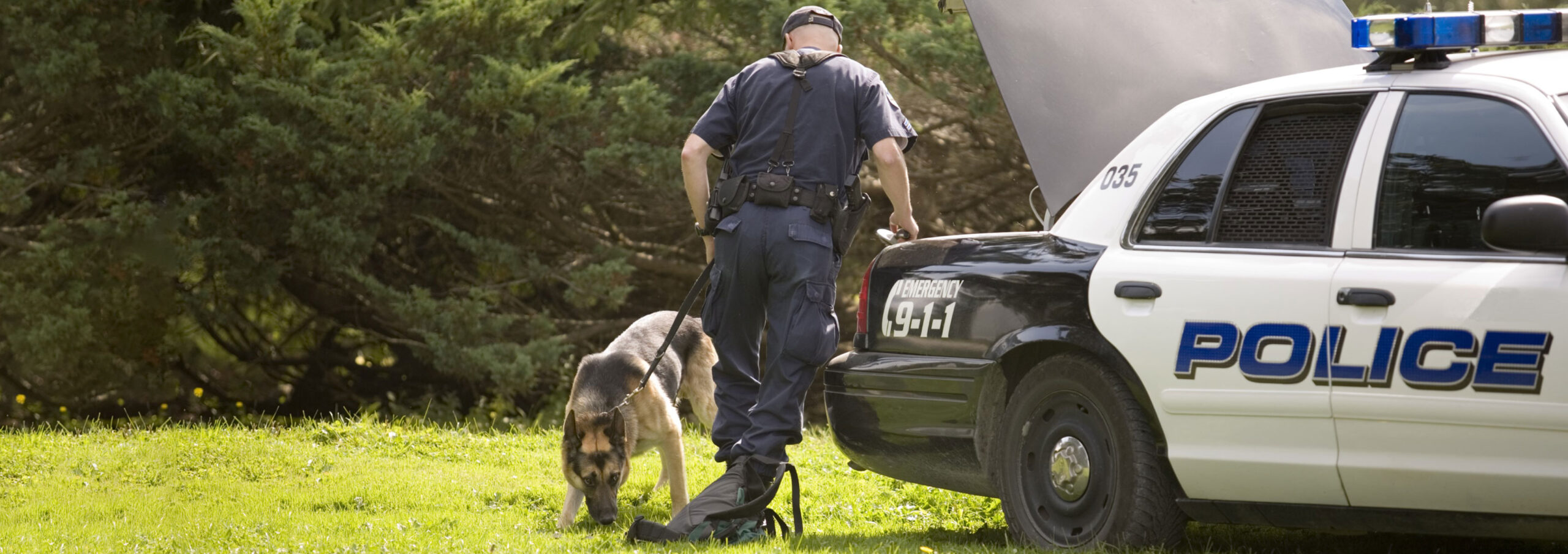 Policeman and police dog.